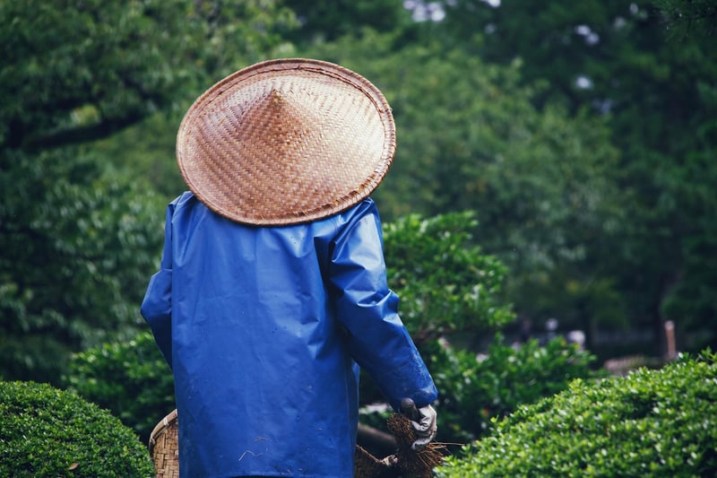 Outdoor Gardening