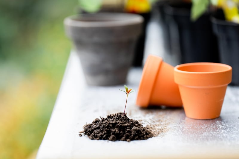 Gardening Tools