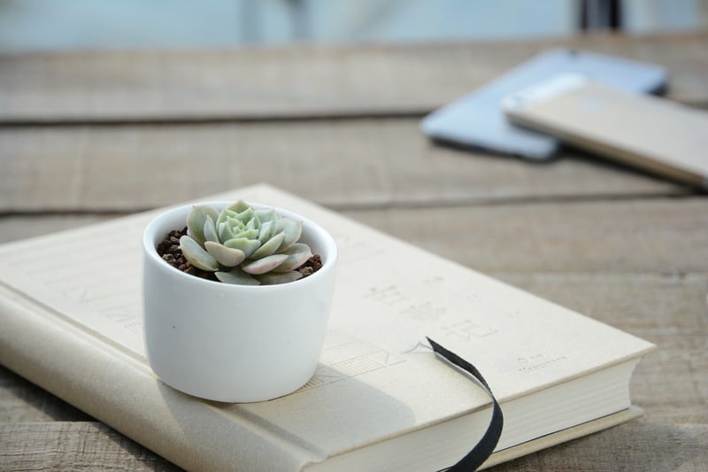 Hanging Planters